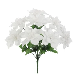 Flash Sale 👏 White Poinsettia Bush by Ashland® ✔️
