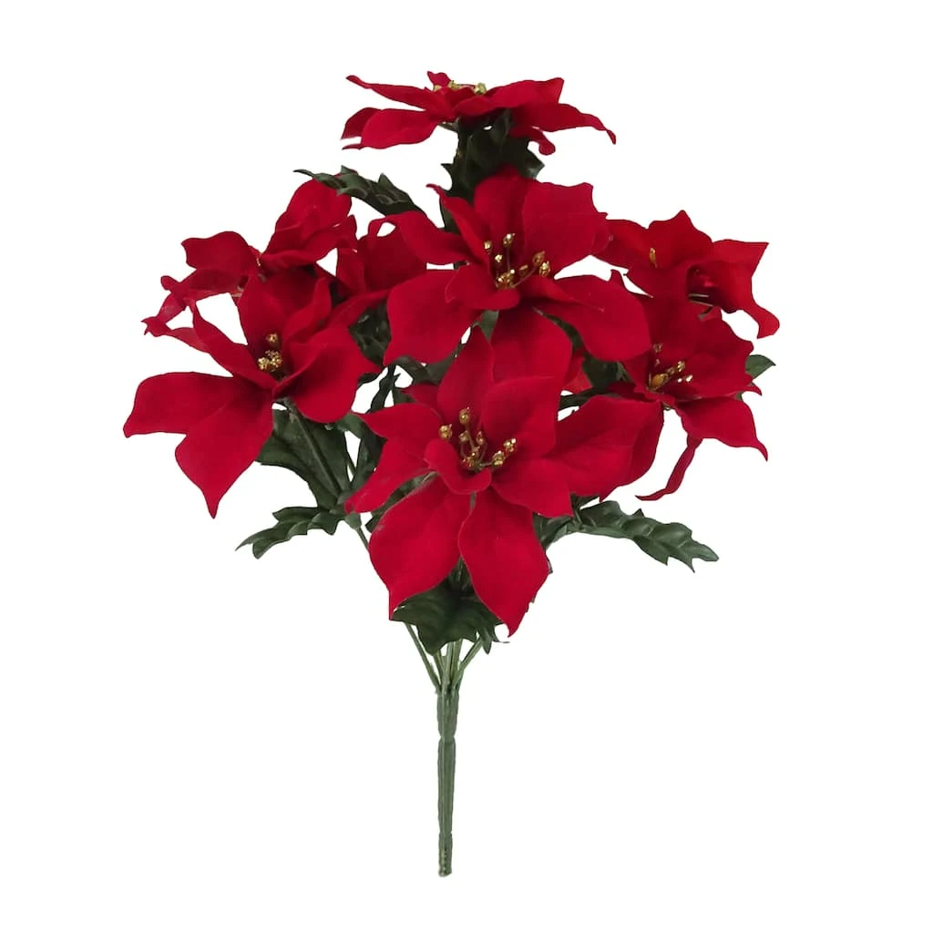 Cheap 🧨 Crimson Poinsettia Bush by Ashland® 🧨 3 Cheap 🧨 Crimson Poinsettia Bush by Ashland® 🧨