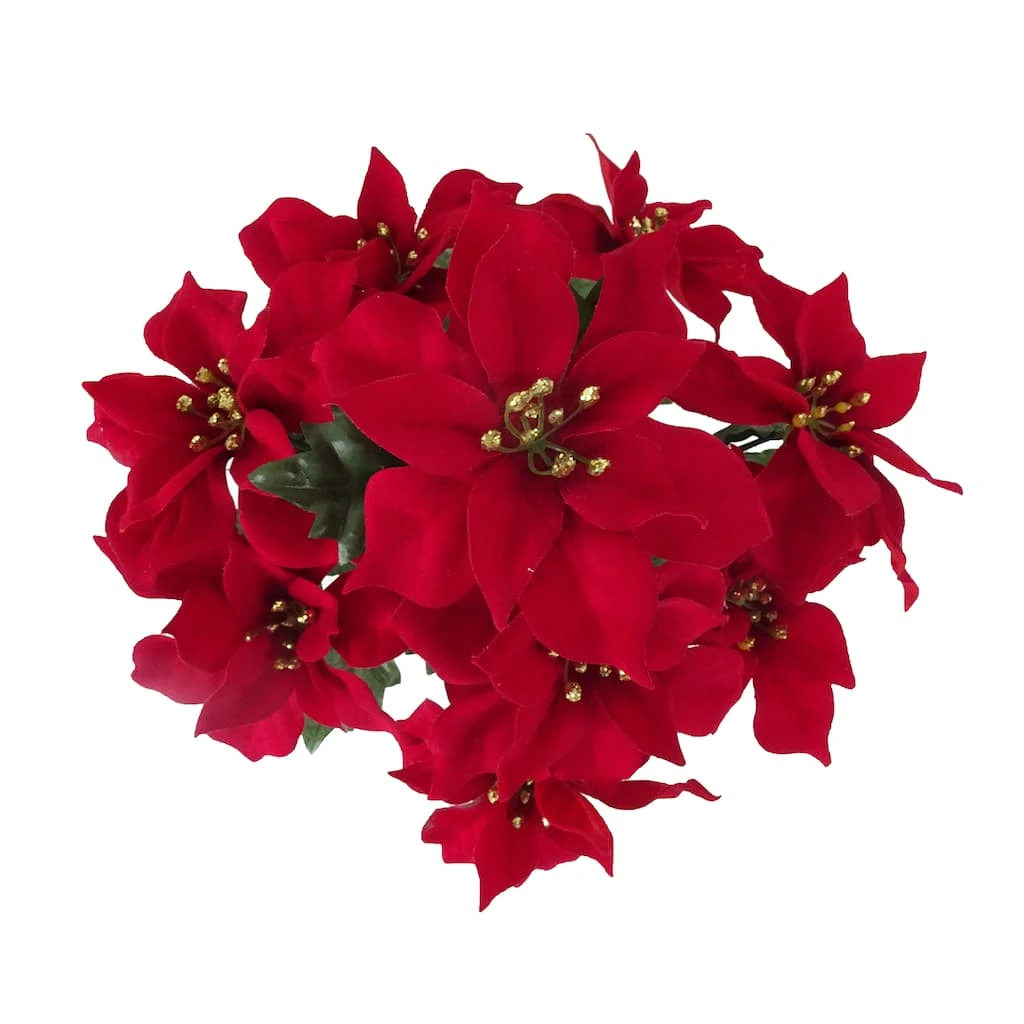 Cheap 🧨 Crimson Poinsettia Bush by Ashland® 🧨 4 Cheap 🧨 Crimson Poinsettia Bush by Ashland® 🧨 - Image 2