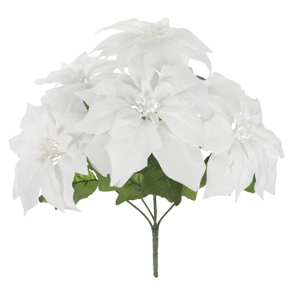 Brand new ❤️ White Poinsettia Bush by Ashland® 😍 3 Brand new ❤️ White Poinsettia Bush by Ashland® 😍