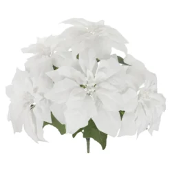 Brand new ❤️ White Poinsettia Bush by Ashland® 😍 7 Brand new ❤️ White Poinsettia Bush by Ashland® 😍 -Outlet Yuletide Joy Store 10700148 2