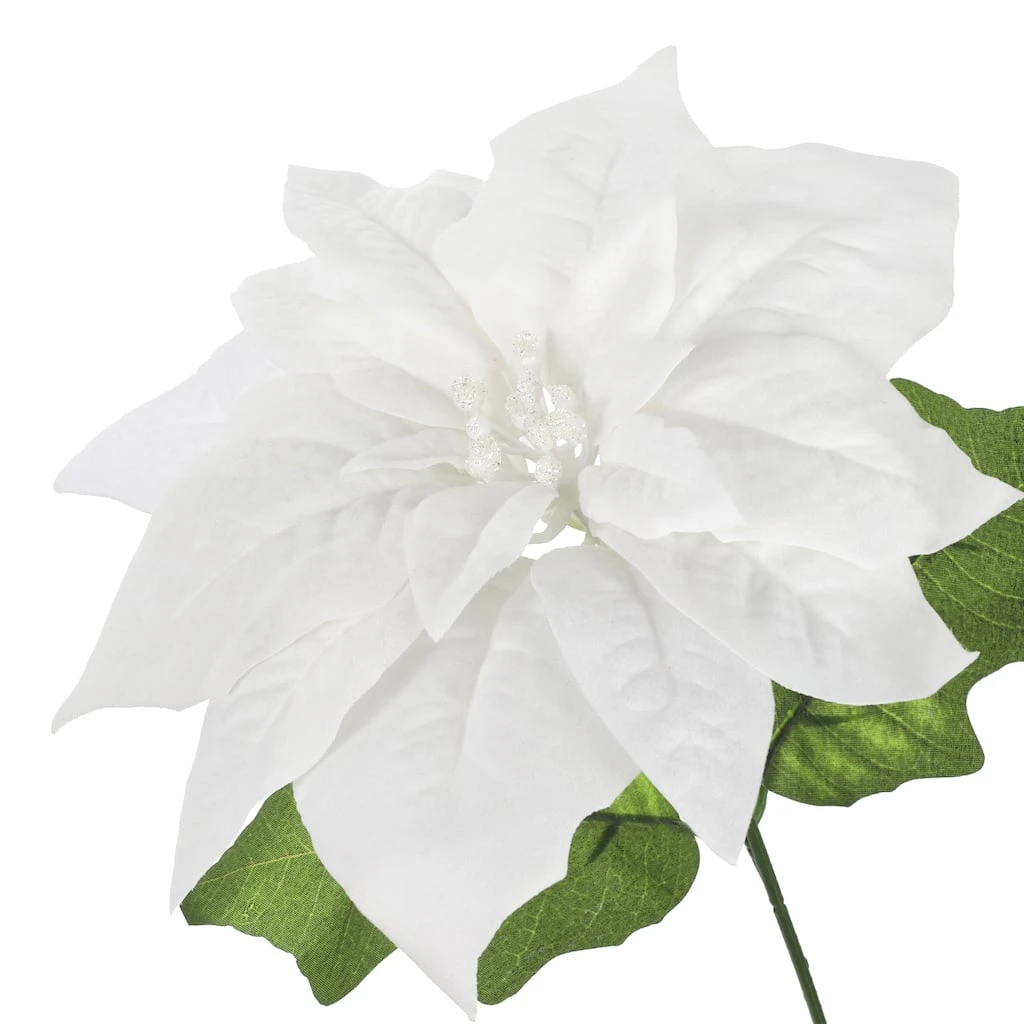Brand new ❤️ White Poinsettia Bush by Ashland® 😍 4 Brand new ❤️ White Poinsettia Bush by Ashland® 😍 - Image 2