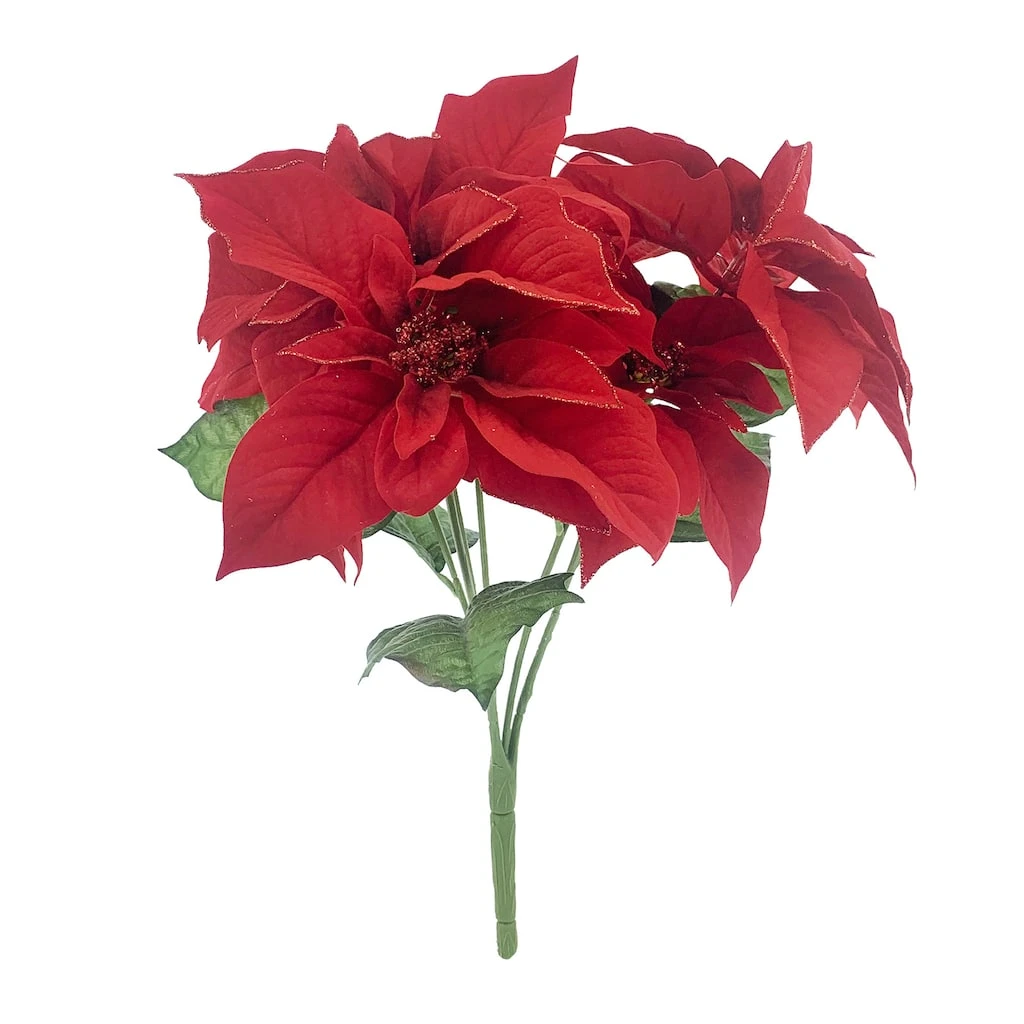 Outlet π Dark Red Poinsettia Bush by Ashland® π― 3 Outlet π Dark Red Poinsettia Bush by Ashland® π―