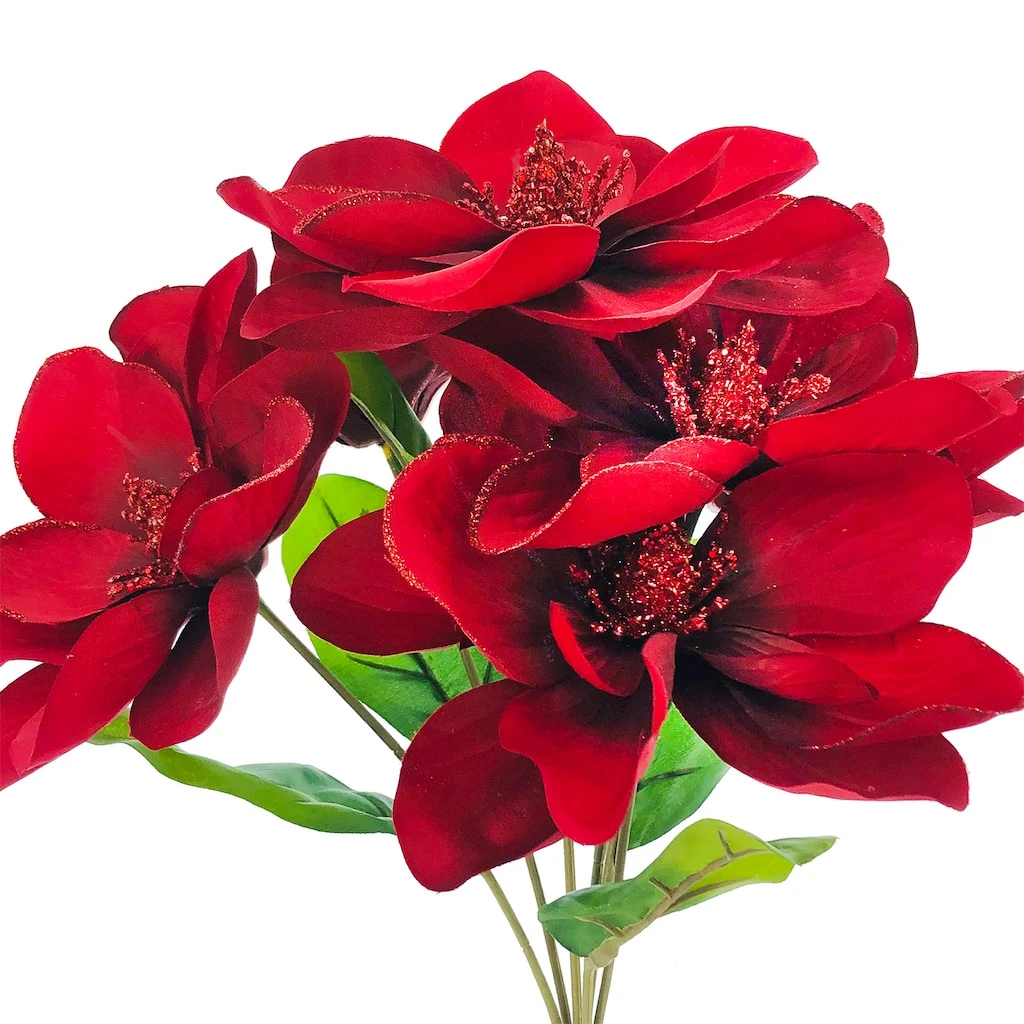 Best deal β Burgundy Magnolia Bush by Ashland® π 4 Best deal β Burgundy Magnolia Bush by Ashland® π - Image 2