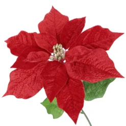 Brand new 🎁 Red Poinsettia Bush by Ashland® ✔️ -Outlet Yuletide Joy Store 10700176 3