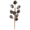 Brand new 🛒 Snowy Pinecone Pick by Ashland® 👍 -Outlet Yuletide Joy Store 10700365 1