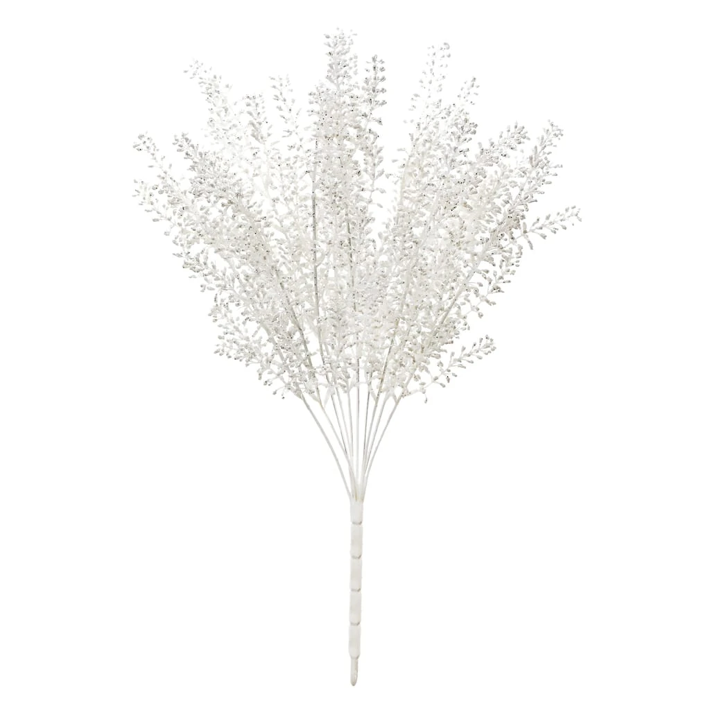 Budget ⭐ White Berry Bush by Ashland® ⌛ 3 Budget ⭐ White Berry Bush by Ashland® ⌛