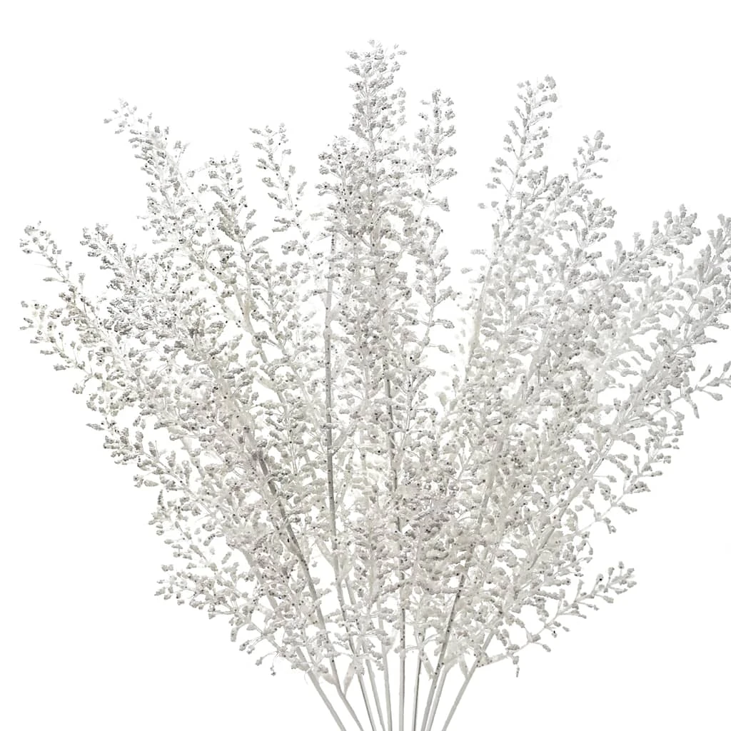 Budget ⭐ White Berry Bush by Ashland® ⌛ 4 Budget ⭐ White Berry Bush by Ashland® ⌛ - Image 2