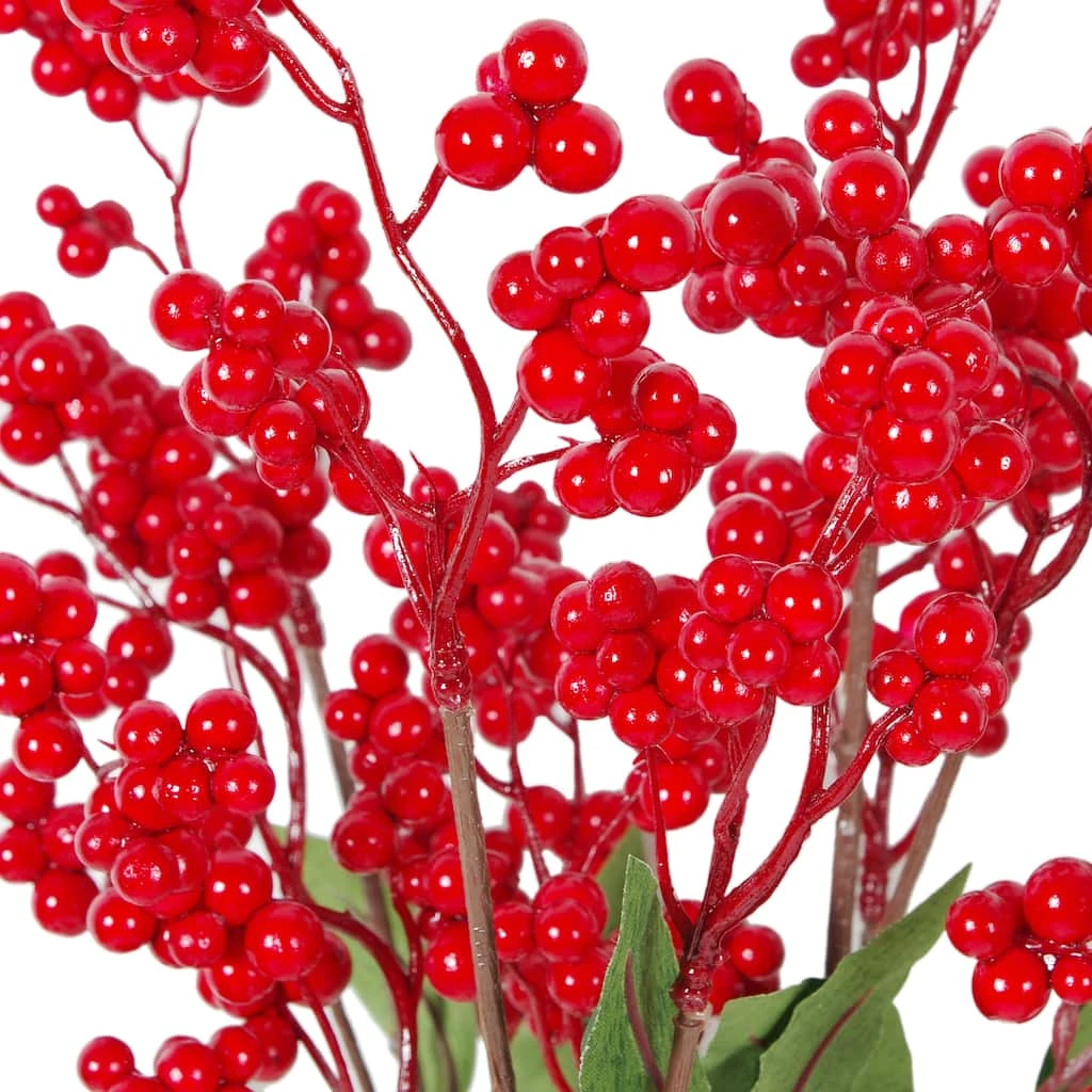 Discount π Red Berry Bush by Ashland® π― 4 Discount π Red Berry Bush by Ashland® π― - Image 2