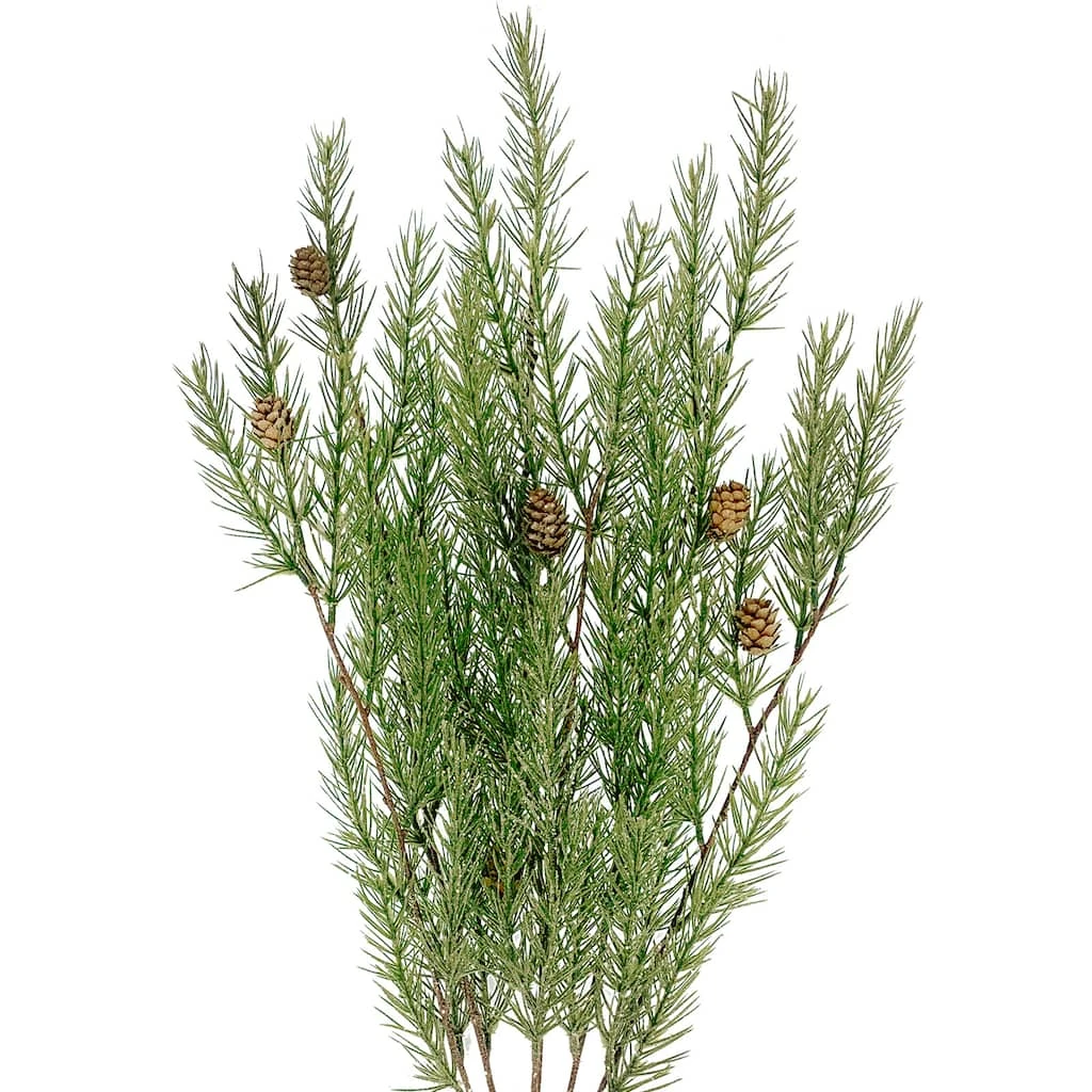 Buy ⌛ Hanging Pine with Pinecone Bush by Ashland® 🧨 4 Buy ⌛ Hanging Pine with Pinecone Bush by Ashland® 🧨 - Image 2