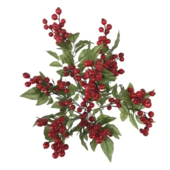 Budget ⭐ Red Cranberry Bush by Ashland® ❤️ -Outlet Yuletide Joy Store 10700403 2
