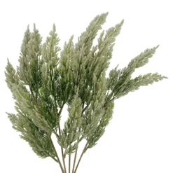 Cheap ⭐ Juniper Bush by Ashland® 🔥 -Outlet Yuletide Joy Store 10700714 2