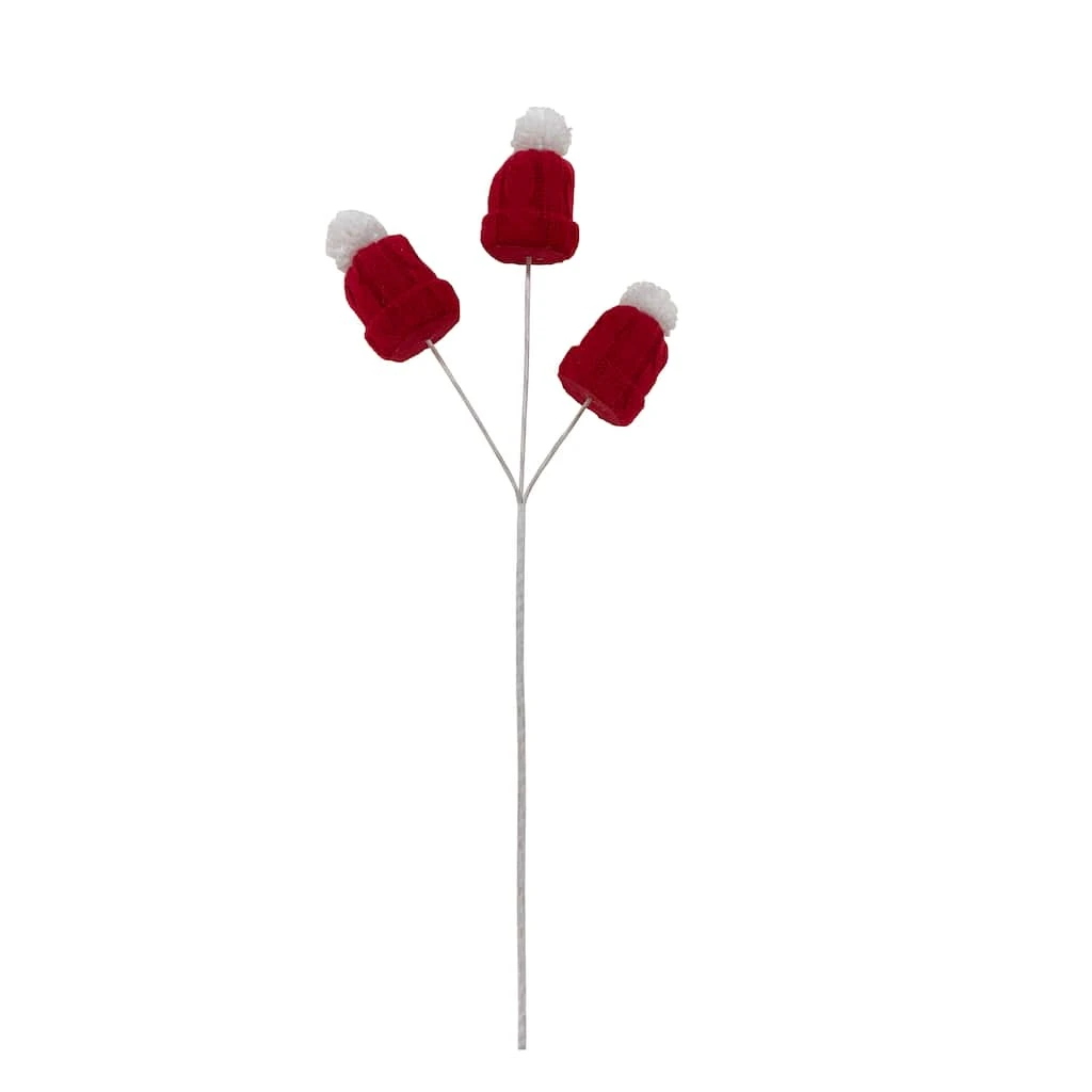 Best deal 🤩 Red Winter Hat Spray by Ashland® ⭐ 3 Best deal 🤩 Red Winter Hat Spray by Ashland® ⭐