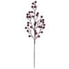 Buy 🌟 Glittery Purple Berry Stem by Ashland® 🔔
