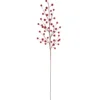 Best deal 🔔 Metallic Red Berry Stem by Ashland® Christmas 🧨