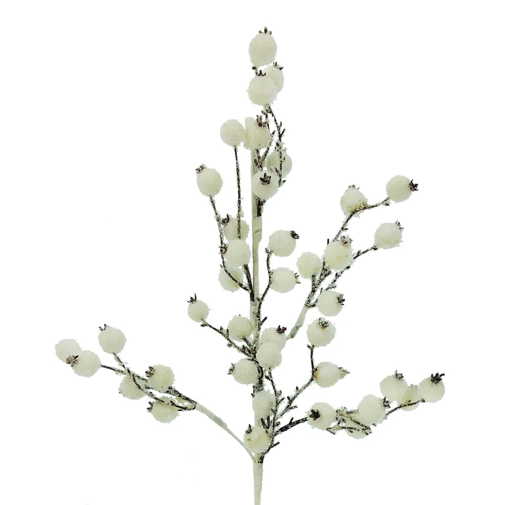 Top 10 🧨 White Berry Twig Stem by Ashland® 🔥 4 Top 10 🧨 White Berry Twig Stem by Ashland® 🔥 - Image 2