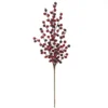 Cheapest ✨ Dark Red Berry Stem by Ashland® 🎁 -Outlet Yuletide Joy Store 10701003 1