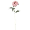 New 👏 Light Pink Snowy Peony Stem by Ashland® 🧨 2 New 👏 Light Pink Snowy Peony Stem by Ashland® 🧨 -Outlet Yuletide Joy Store 10701015 1