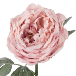 New 👏 Light Pink Snowy Peony Stem by Ashland® 🧨 -Outlet Yuletide Joy Store 10701015 2