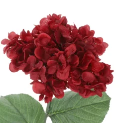 Best Sale 😉 Iced Red Wild Hydrangea Stem by Ashland® 🛒 -Outlet Yuletide Joy Store 10701046 3