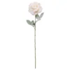 Deals 🧨 Snow Covered Champagne Rose Stem by Ashland® ⭐ 1 Deals 🧨 Snow Covered Champagne Rose Stem by Ashland® ⭐ -Outlet Yuletide Joy Store 10701055 1