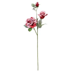 Best reviews of 🧨 Red Snow Covered Garden Rose Stem by Ashland® 🔔