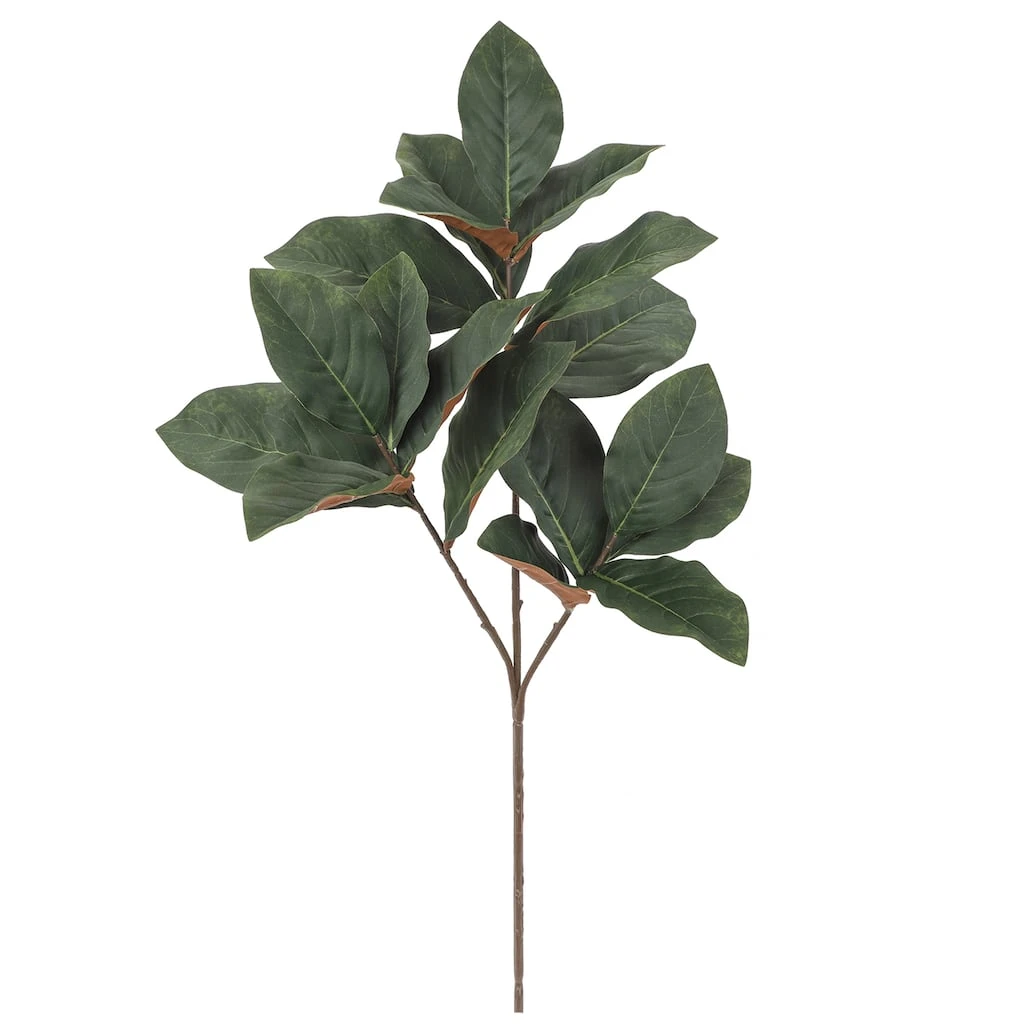 Best Pirce ❤️ Dark Green Magnolia Leaf Stem by Ashland® 🌟 3 Best Pirce ❤️ Dark Green Magnolia Leaf Stem by Ashland® 🌟