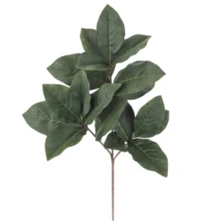 Best Pirce ❤️ Dark Green Magnolia Leaf Stem by Ashland® 🌟 6 Best Pirce ❤️ Dark Green Magnolia Leaf Stem by Ashland® 🌟 -Outlet Yuletide Joy Store 10701060 2