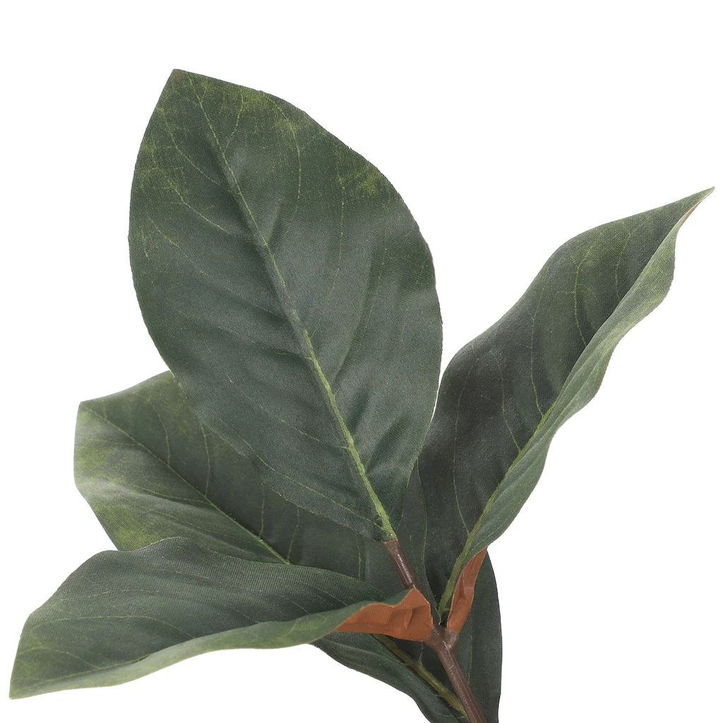 Best Pirce ❤️ Dark Green Magnolia Leaf Stem by Ashland® 🌟 5 Best Pirce ❤️ Dark Green Magnolia Leaf Stem by Ashland® 🌟 - Image 3