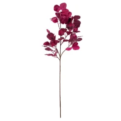 Best reviews of 👍 Purple Eucalyptus Foliage Stem by Ashland® ✔️
