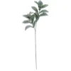 New π Lamb's Ear Stem by Ashland® β 2 New π Lamb's Ear Stem by Ashland® β -Outlet Yuletide Joy Store 10701290 1
