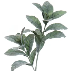 New π Lamb's Ear Stem by Ashland® β 6 New π Lamb's Ear Stem by Ashland® β -Outlet Yuletide Joy Store 10701290 2