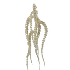 Best Pirce 🌟 Laceleaf Stem by Ashland® 🥰 -Outlet Yuletide Joy Store 10701296 2