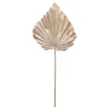 Deals ✔️ Champagne Palm Leaf Stem by Ashland® 👍 -Outlet Yuletide Joy Store 10701306 1