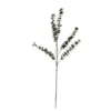Buy ⭐ Snowy Eucalyptus Stem by Ashland® 🎉