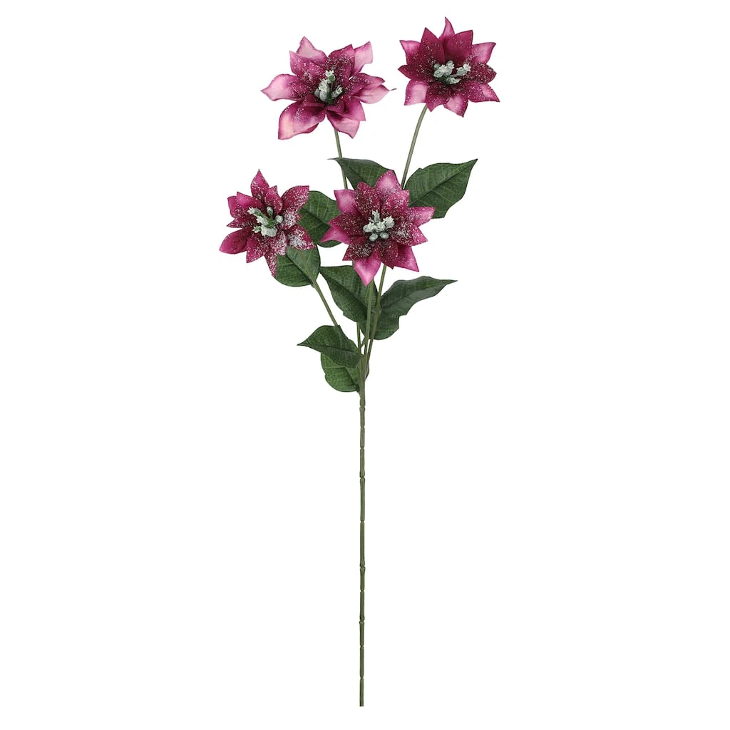 Brand new โ๏ธ Plum Poinsettia Stem by Ashland® ๐ 4 Brand new โ๏ธ Plum Poinsettia Stem by Ashland® ๐ - Image 2