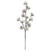 Promo 🥰 Iced Cotton Stem by Ashland® 👏 1 Promo 🥰 Iced Cotton Stem by Ashland® 👏 -Outlet Yuletide Joy Store 10701324 1