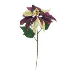 Best Pirce ⌛ Wine & Gold Poinsettia Stem by Ashland® 🌟