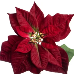 Cheap ✔️ Dark Red Poinsettia Stem by Ashland® 🤩 -Outlet Yuletide Joy Store 10701338 2