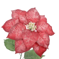 Outlet ✨ Iced Red Poinsettia Stem by Ashland® ⌛ -Outlet Yuletide Joy Store 10701342 3