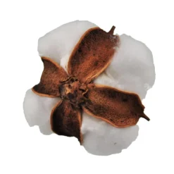 Promo 🔔 Cotton Pod Filler by Ashland® ❤️ -Outlet Yuletide Joy Store 10702008 4