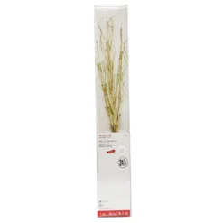 Flash Sale 🎁 30" Gold Pre-Lit Branch by Ashland® 🔔 -Outlet Yuletide Joy Store 10702489 1