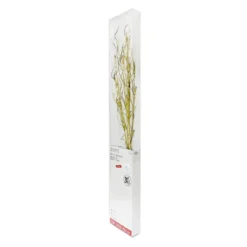 Flash Sale 🎁 30" Gold Pre-Lit Branch by Ashland® 🔔 -Outlet Yuletide Joy Store 10702489 4