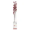 Best reviews of 🎉 Red Berries Twig With 16 Lights by Ashland® 👏 -Outlet Yuletide Joy Store 10702492 1