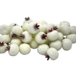 Wholesale 🤩 White Sugared Berries by Ashland® ⌛