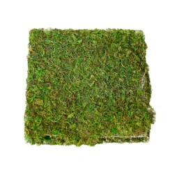 Promo ✨ Green Glitter Moss Mat by Ashland® 🥰 -Outlet Yuletide Joy Store 10703337 2