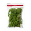 Buy ✔️ Green Reindeer Moss by Ashland® ✨ -Outlet Yuletide Joy Store 10703339 1