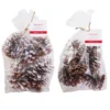 Brand new ⭐ Assorted Pinecone Mix by Ashland® ⌛ 2 Brand new ⭐ Assorted Pinecone Mix by Ashland® ⌛ -Outlet Yuletide Joy Store 10703682 1