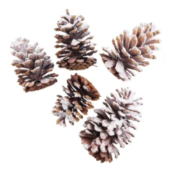 Brand new ⭐ Assorted Pinecone Mix by Ashland® ⌛ -Outlet Yuletide Joy Store 10703682 2