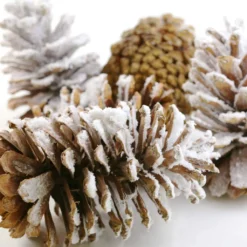 Brand new ⭐ Assorted Pinecone Mix by Ashland® ⌛ -Outlet Yuletide Joy Store 10703682 3